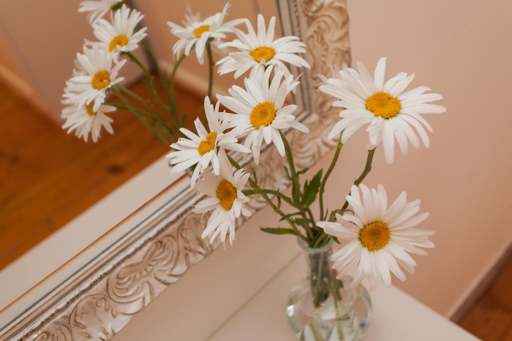 רוביני Guesthouse Casa Vittoria מראה חיצוני תמונה